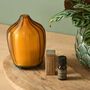 Energise Aromatherapy Oil Blend For Electric Diffusers, thumbnail 2 of 2