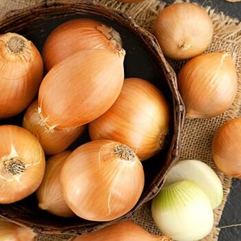 Vegetable Plants Onion 'Japanese' 18 X Plant Pack, 6 of 8