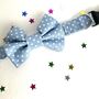 Slide On Dog Collar Bow In Blue, Red, Pink And Black, thumbnail 7 of 10