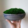 Preserved Moss In A Large Ceramic Handmade Bowl, thumbnail 4 of 8