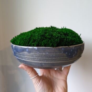 Preserved Moss In A Large Ceramic Handmade Bowl, 4 of 8