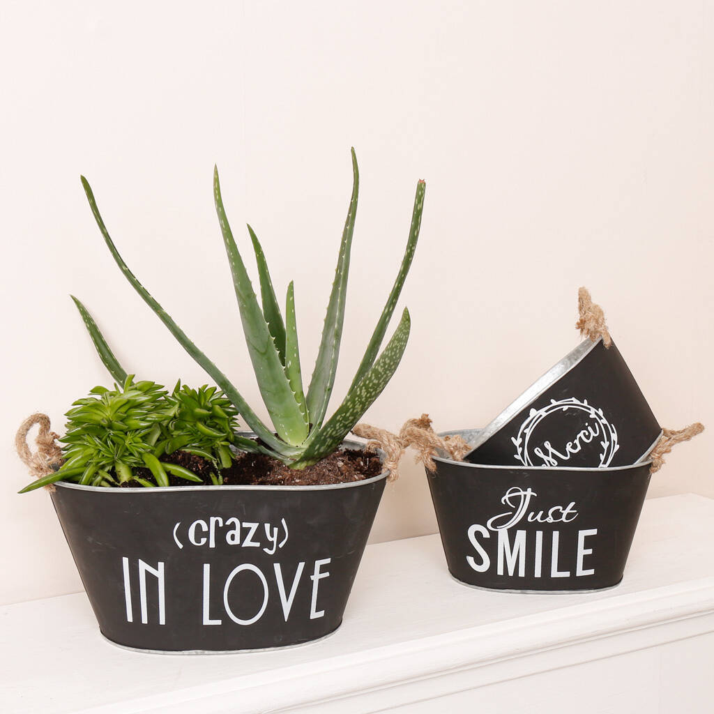 set of three contemporary tabletop planters by dibor