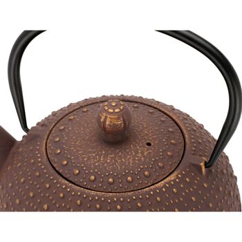 Cast Iron Teapot Anhui Design 900ml Steel Filter, 5 of 8