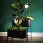 Black Oval Metal Planter Stand, thumbnail 3 of 8