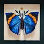 Realistic Handmade Faux Butterfly Taxidermy Embroidery, thumbnail 3 of 6