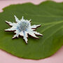 Wildflower Sea Holly Eco Wooden Pin Brooch, thumbnail 3 of 9
