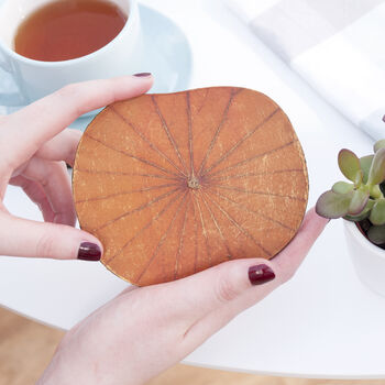 Lotus Leaf Coasters Set Of Six With Presentation Box, 8 of 10