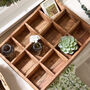 Grimaud 12 Compartment Display Tray, thumbnail 3 of 5