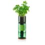 Flat Leaf Parsley Hydro Herb Kit, thumbnail 1 of 3