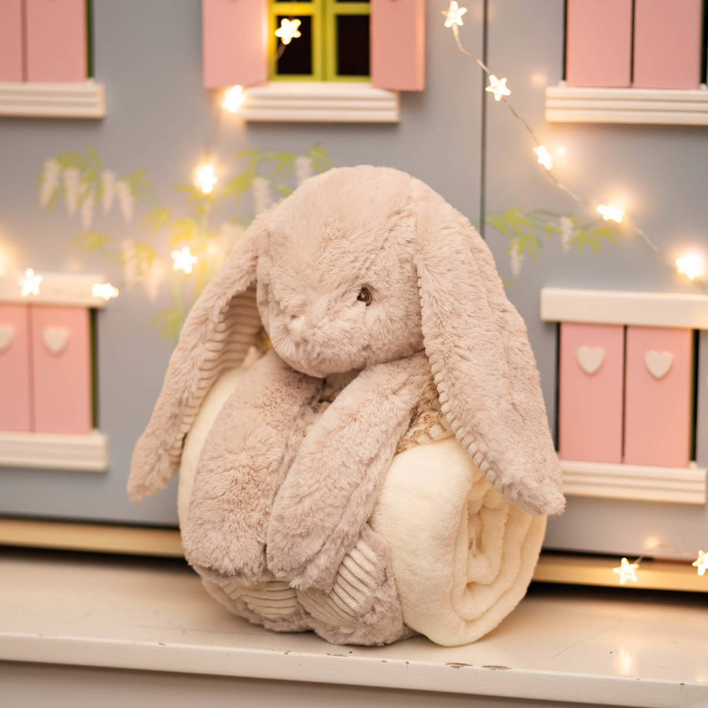 Super Soft Bunny With Embroidered Blanket, 1 of 9