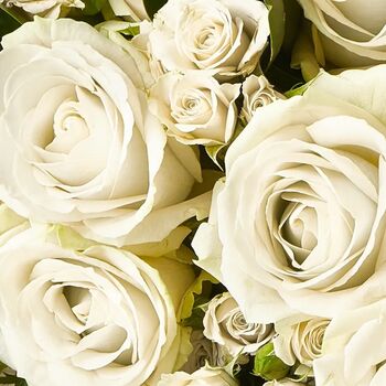 Ivory Classic Fresh Rose Super Bouquet, 3 of 3