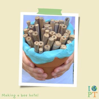 Children's Eco Activity Box: Our World Is Changing, 6 of 11