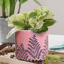 Botanical Fern Ceramic Plant Pots, thumbnail 3 of 8