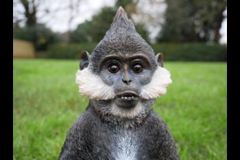 Bearded Monkey Chimp Figurine – Black And White Ornament, 3 of 6