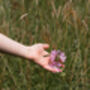 South Downs Wild Foraging Workshop And Afternoon Tea For Two, thumbnail 6 of 12