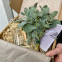 Fresh Eucalyptus Bud Vase Gift Set, thumbnail 3 of 9