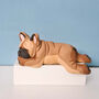 Sleeping French Bulldog Brown, thumbnail 1 of 11