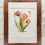 T Is For Tulips Gilded Botanical Artwork, thumbnail 4 of 6