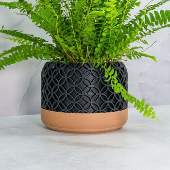 Carbon Blossom Planter, 3 of 4