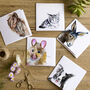 Pack Of Five Pet Themed Blank Greeting Cards, thumbnail 1 of 9