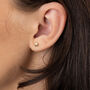 18ct Gold Faceted Star Stud Earrings, thumbnail 1 of 5