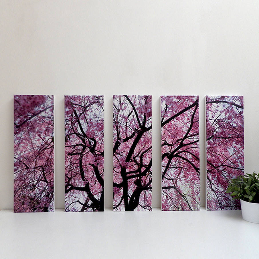 'obsession' japanese cherry blossom canvas print by fabrice jouet