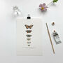 ‘Butterfly Chart’ A5 Giclée Art Print, thumbnail 1 of 3
