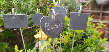 Shaped Slate Herb And Plant Markers With Steel Spikes, 2 of 2
