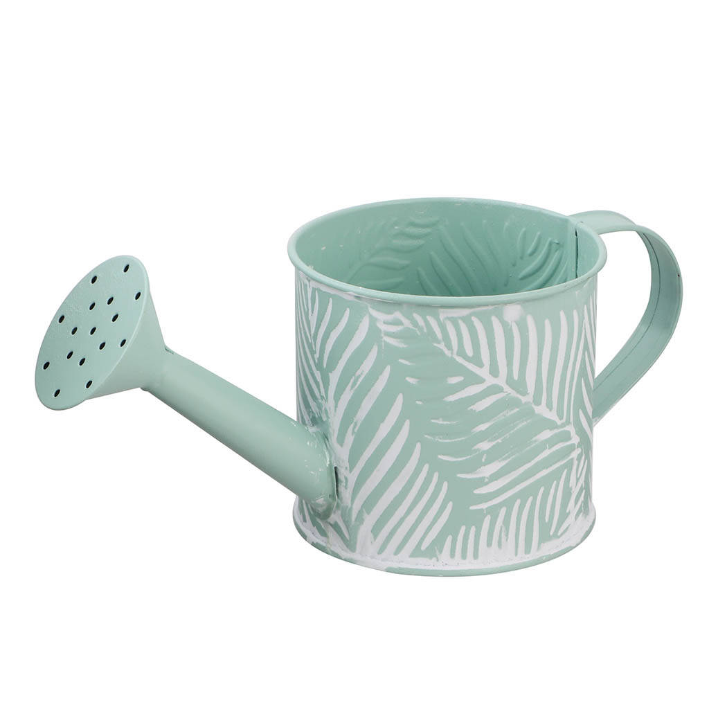 Spring Fern Decorative Zinc Watering Can Planter By Dibor