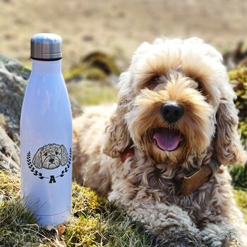 Personalised Dog Varsity Vacuum Water Bottle, 3 of 11
