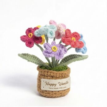 Forget Me Not Flower Pot Colours At Random, 3 of 6