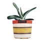 Striped Recycled House Plant Pot Covers Three Sizes, thumbnail 9 of 12