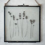 Large Vintage Pressed Flower Frame: Dried Lavender, thumbnail 3 of 8