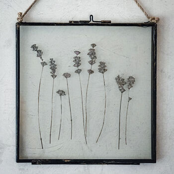 Large Vintage Pressed Flower Frame: Dried Lavender, 3 of 8