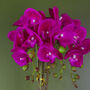 Pink Silver Artificial Orchid Large 52cm Real Touch, thumbnail 3 of 3