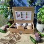 Mediterranean Garden Grow Your Own Kit, thumbnail 6 of 7