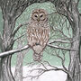 'Barred Owl' Print, thumbnail 3 of 3