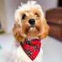 Christmas Tartan Dog Bandana, thumbnail 1 of 5