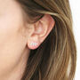 Sterling Silver Leaf Stud Earrings, thumbnail 1 of 3