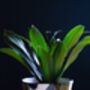 Modern Monochrome Plant Pot, thumbnail 2 of 9