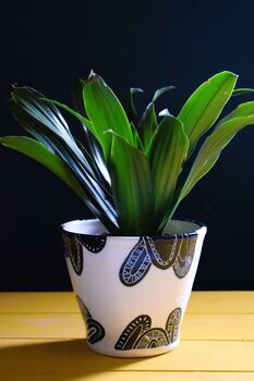 Modern Monochrome Plant Pot, 2 of 9
