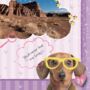 Personalised Animals Activity Book With Stickers, thumbnail 10 of 10