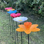 Set Of Six Cast Iron Flower Dish Bird Feeders, thumbnail 6 of 7