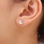 Sterling Silver Tiny Robin Bird Stud Earrings, thumbnail 6 of 12
