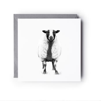 Badger Sheep Wildlife Countryside Card, 2 of 6