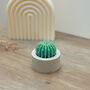 Round Barrel Cactus Candles Saguaro Cacti Candle Gift, thumbnail 5 of 10
