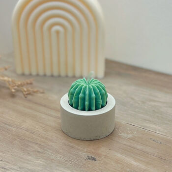 Round Barrel Cactus Candles Saguaro Cacti Candle Gift, 5 of 10