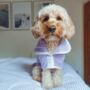 Luxury Dog Drying Coat, thumbnail 4 of 12