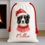 Personalised Border Collie Santa Sack, thumbnail 1 of 3