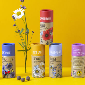 Wildflower And Herb Seeds Create Your Own Gift Set, 5 of 12